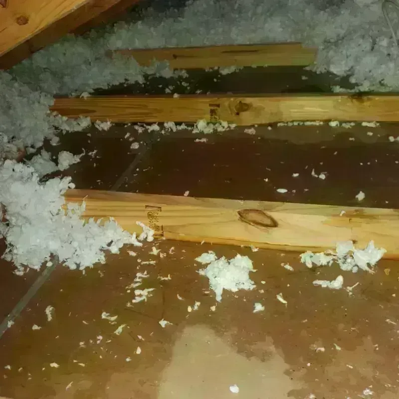 Attic Water Damage in King and Queen County, VA