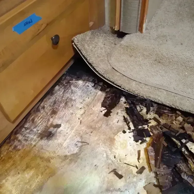 Wood Floor Water Damage in King and Queen County, VA